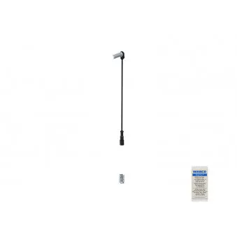 Capteur, vitesse de roue WABCO