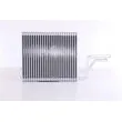 Évaporateur climatisation NISSENS 92347 - Visuel 1
