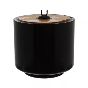 Diaphragme, soufflet à air FEBI BILSTEIN