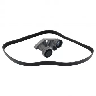 Jeu de courroies trapézoïdales à nervures FEBI BILSTEIN