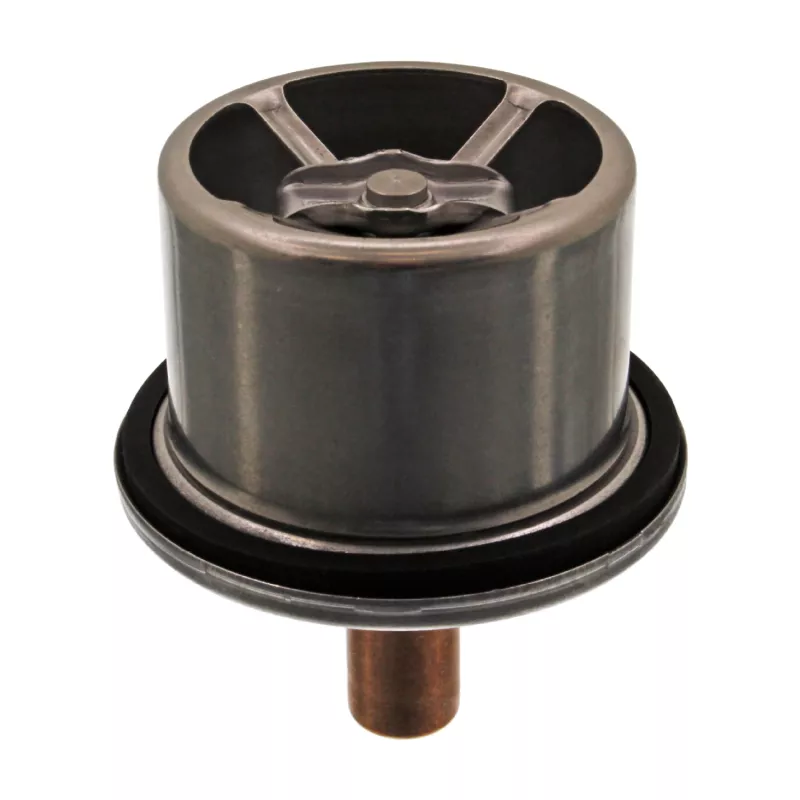 Thermostat d'eau FEBI BILSTEIN 39858