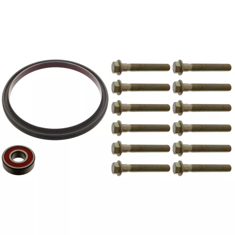 Kit de réparation/volant moteur FEBI BILSTEIN 45615