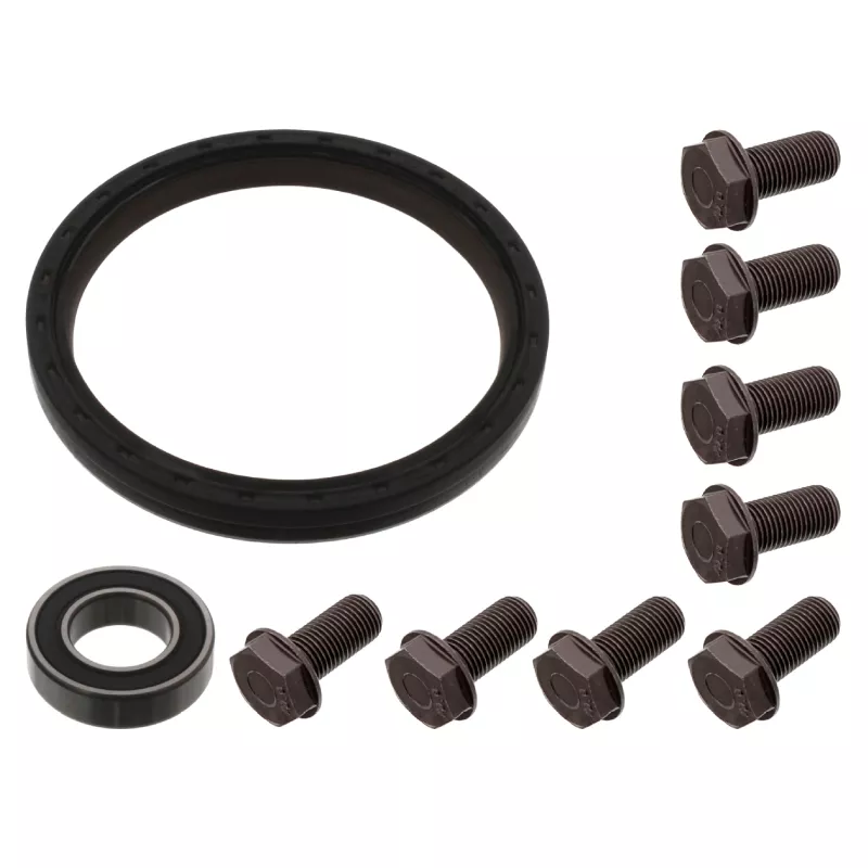 Kit de réparation/volant moteur FEBI BILSTEIN 45616
