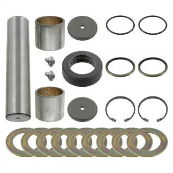 Kit d'assemblage, pivot de fusée d'essieu FEBI BILSTEIN