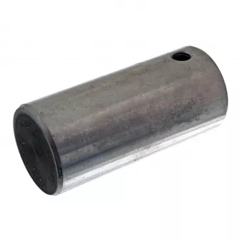 Boulon, poulie mâchoire de frein FEBI BILSTEIN