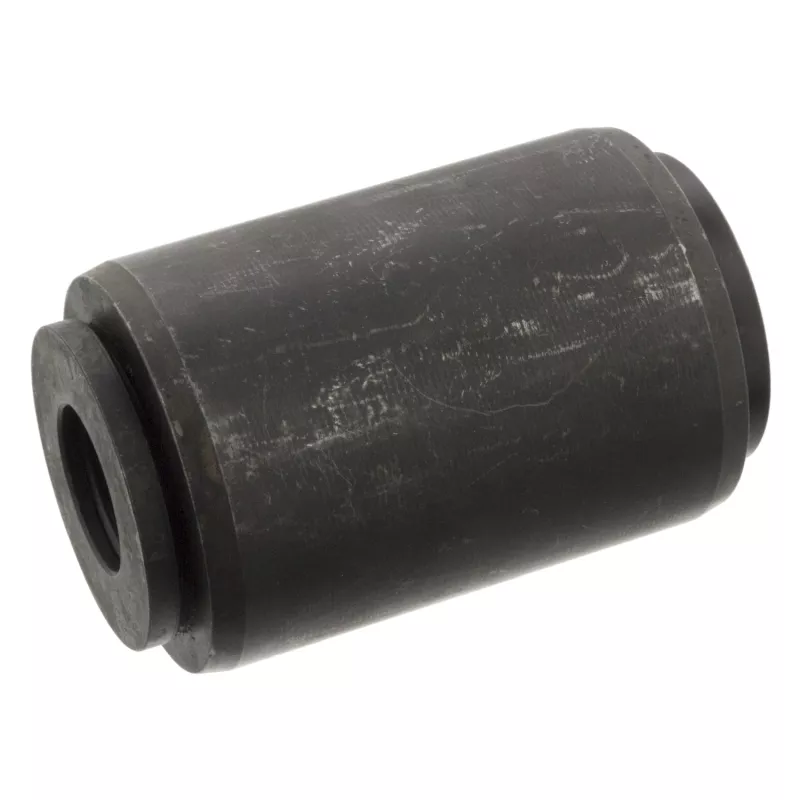 Suspension, ressort à lames FEBI BILSTEIN 101300