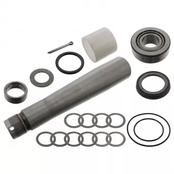 Kit d'assemblage, pivot de fusée d'essieu FEBI BILSTEIN
