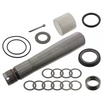 Kit d'assemblage, pivot de fusée d'essieu FEBI BILSTEIN