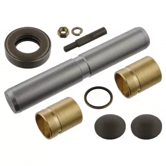 Kit d'assemblage, pivot de fusée d'essieu FEBI BILSTEIN