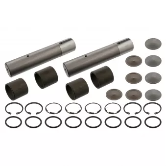 Kit d'assemblage, pivot de fusée d'essieu FEBI BILSTEIN