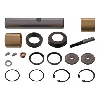 Kit d'assemblage, pivot de fusée d'essieu FEBI BILSTEIN