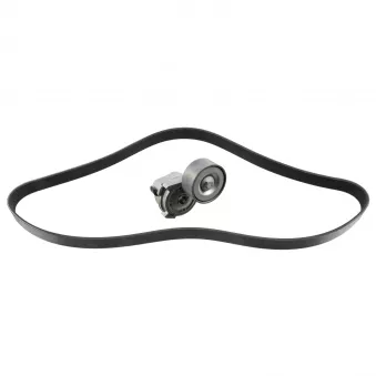 Jeu de courroies trapézoïdales à nervures FEBI BILSTEIN