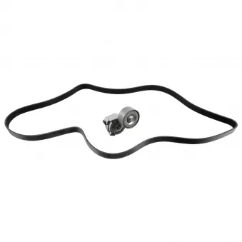 Jeu de courroies trapézoïdales à nervures FEBI BILSTEIN