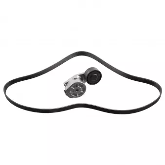 Jeu de courroies trapézoïdales à nervures FEBI BILSTEIN