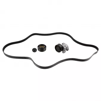 Jeu de courroies trapézoïdales à nervures FEBI BILSTEIN