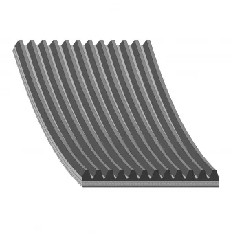 Courroie trapézoïdale à nervures FEBI BILSTEIN