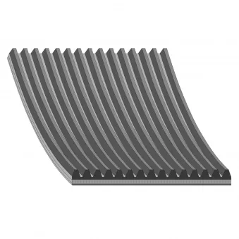 Courroie trapézoïdale à nervures FEBI BILSTEIN