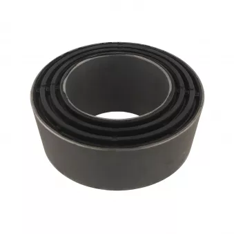 Suspension, ressort à lames FEBI BILSTEIN