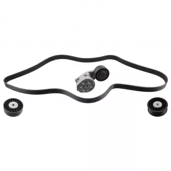 Jeu de courroies trapézoïdales à nervures FEBI BILSTEIN