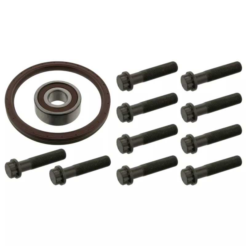 Kit de réparation/volant moteur FEBI BILSTEIN 11639