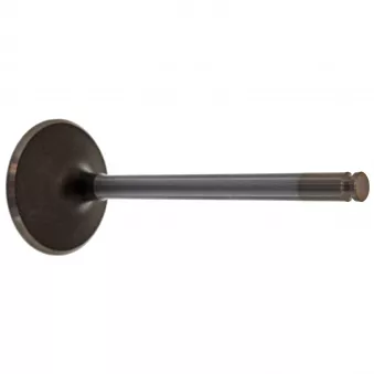 Soupape d'admission FEBI BILSTEIN