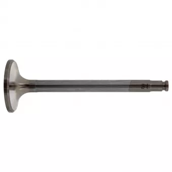 Soupape d'échappement FEBI BILSTEIN