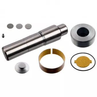 Kit d'assemblage, pivot de fusée d'essieu FEBI BILSTEIN