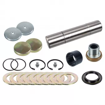 Kit d'assemblage, pivot de fusée d'essieu FEBI BILSTEIN