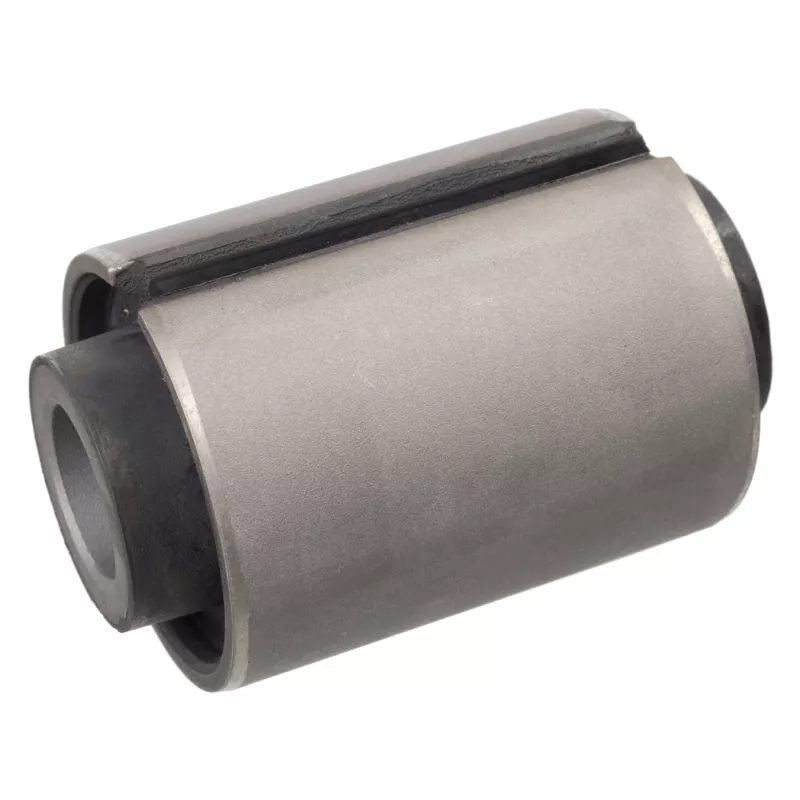 Suspension, ressort à lames FEBI BILSTEIN 107869