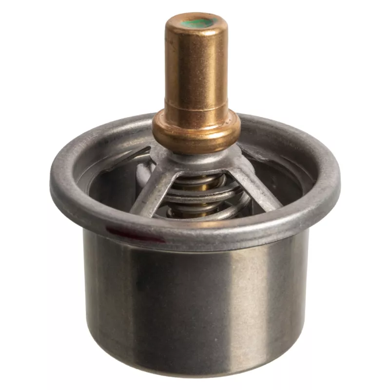 Thermostat d'eau FEBI BILSTEIN 171162