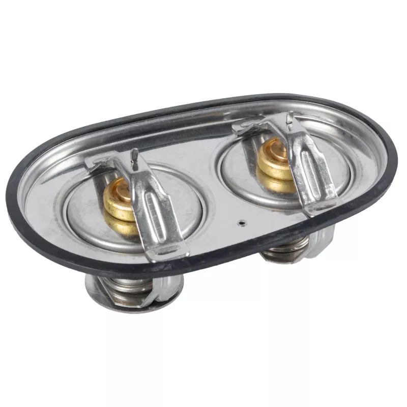 Thermostat d'eau FEBI BILSTEIN 171127