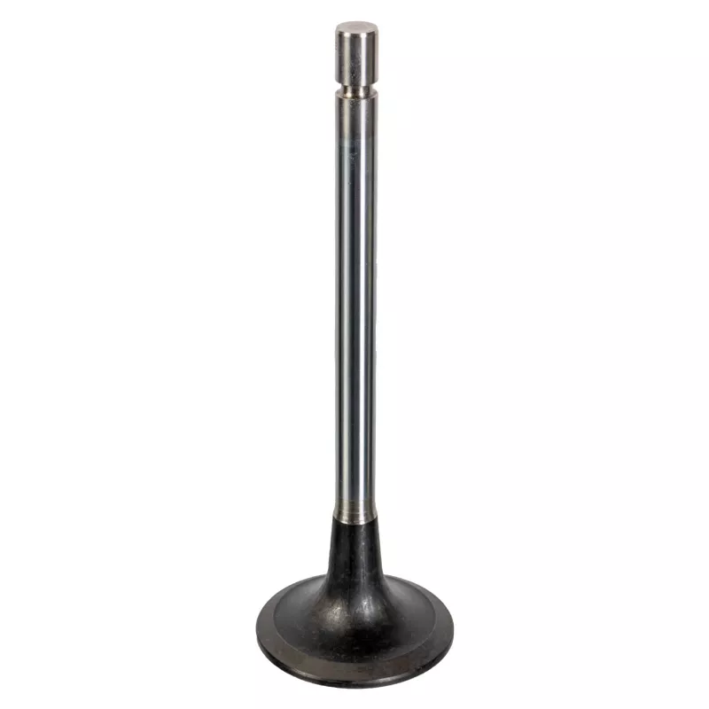 Soupape d'admission FEBI BILSTEIN 178020