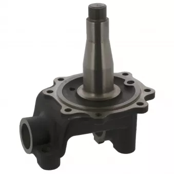 Fusée d'essieu, suspension de roue FEBI BILSTEIN