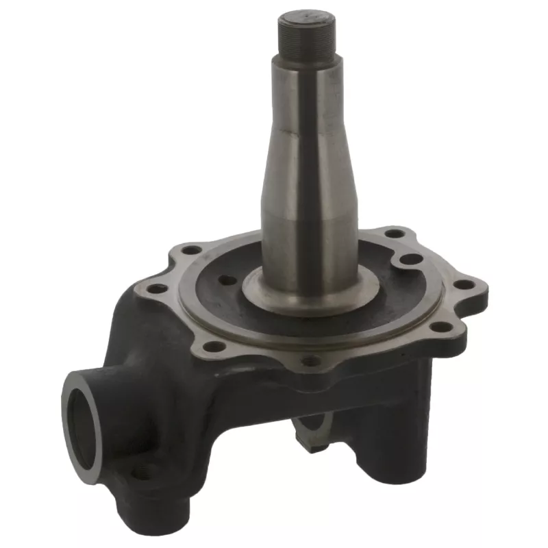 Fusée d'essieu, suspension de roue FEBI BILSTEIN 19100