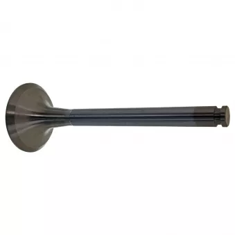 Soupape d'échappement FEBI BILSTEIN