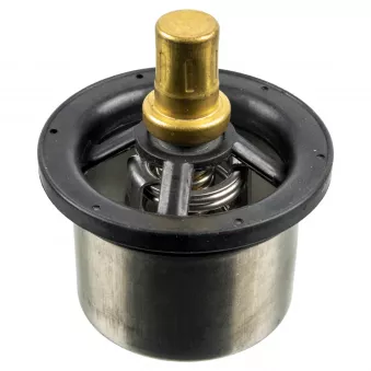 Thermostat, liquide de refroidissement FEBI BILSTEIN