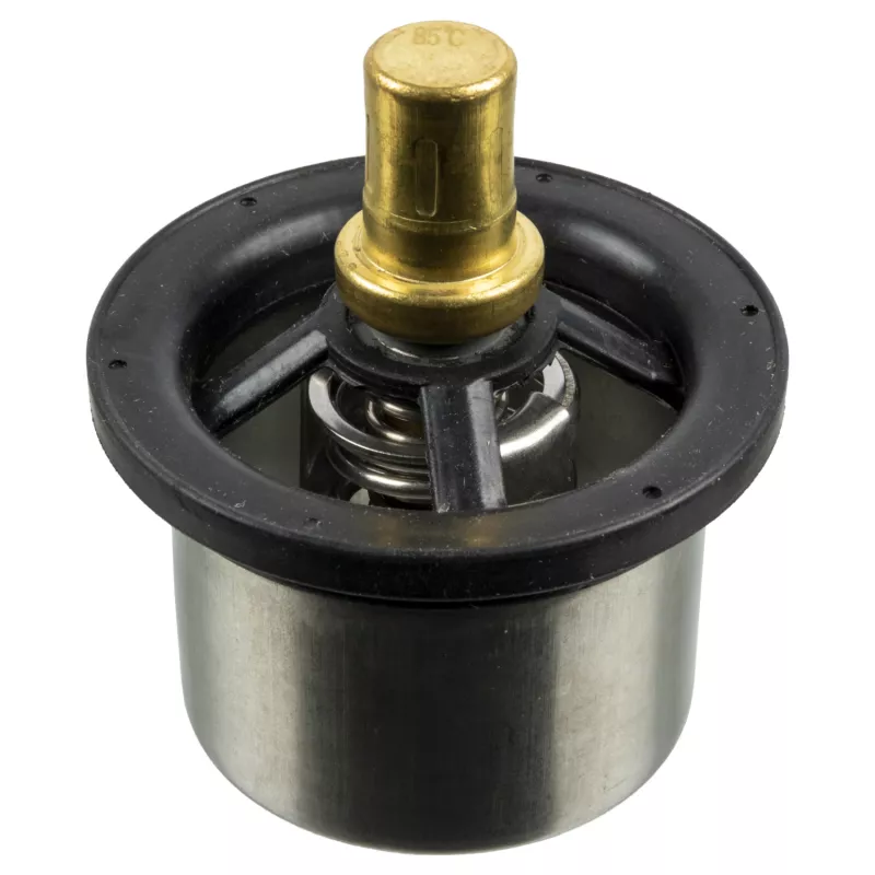Thermostat, liquide de refroidissement FEBI BILSTEIN 173719
