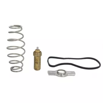 Thermostat d'eau LEMA