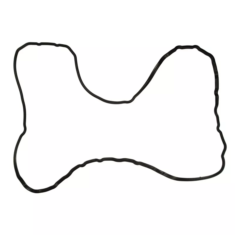 Joint de carter d'huile LEMA 25805.84