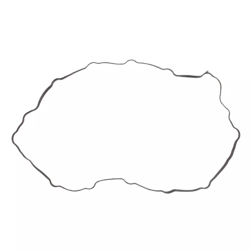 Joint d'étanchéité, carter de distribution LEMA 20500.30