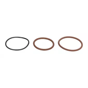 Éléments du système d'injection de pompe LEMA