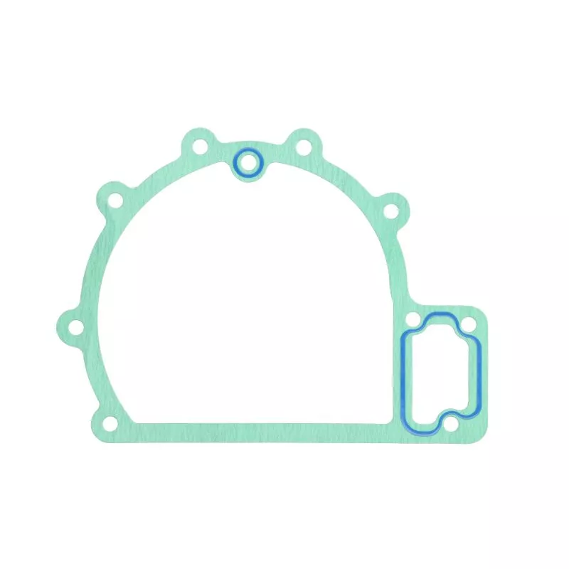 Joint de pompe à eau LEMA 24500.54