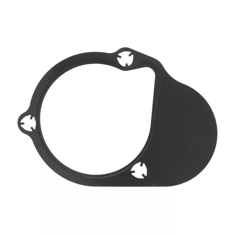 Joint d'étanchéité, carter de distribution LEMA 23520.01