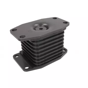 Suspension, recours à lames LEMA 1696.11