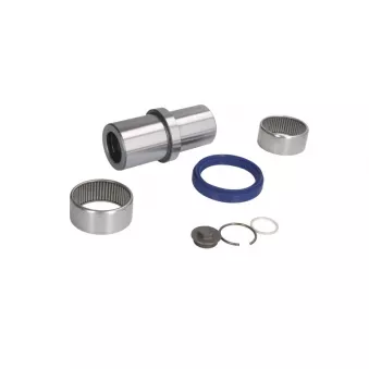 Kit d'assemblage, pivot de fusée d'essieu LEMA