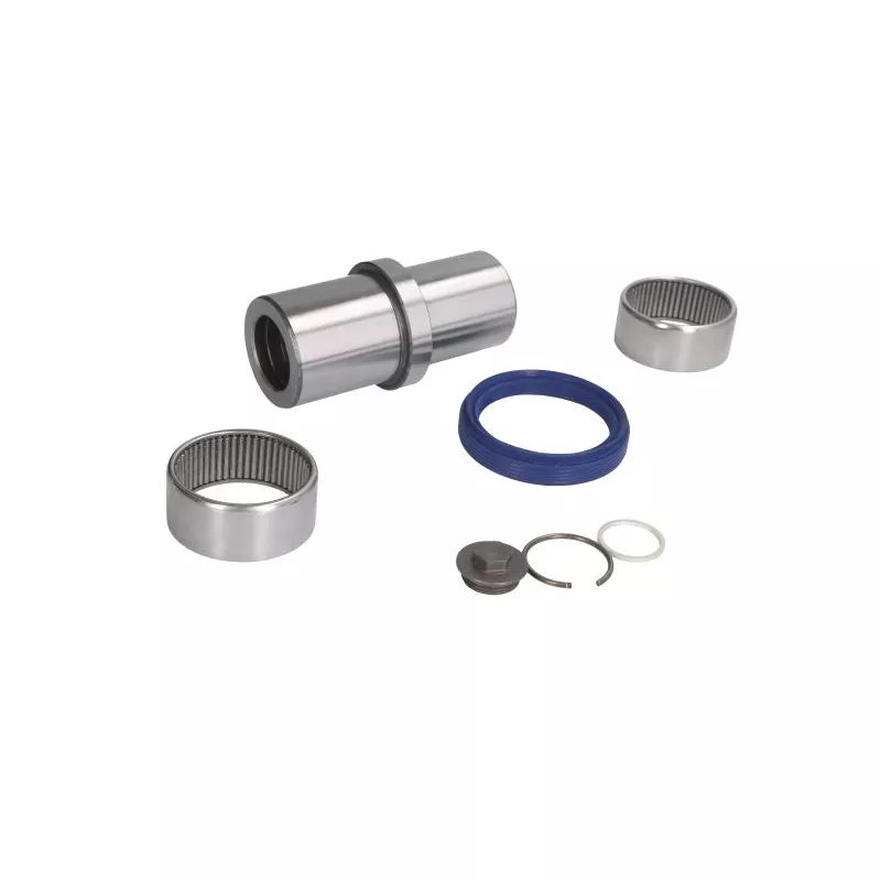 Kit d'assemblage, pivot de fusée d'essieu LEMA 237