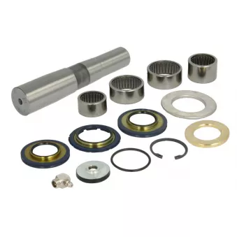 Kit d'assemblage, pivot de fusée d'essieu LEMA