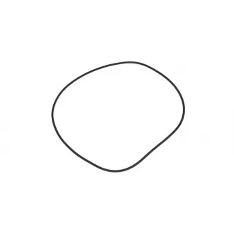 Bague d'étanchéité LEMA