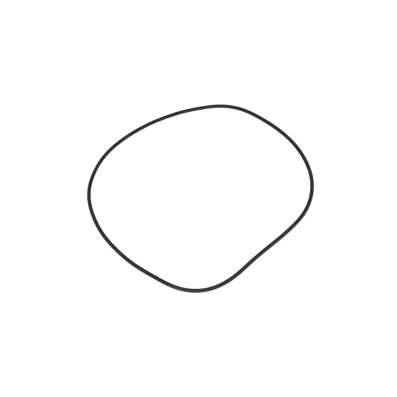 Bague d'étanchéité LEMA 124970