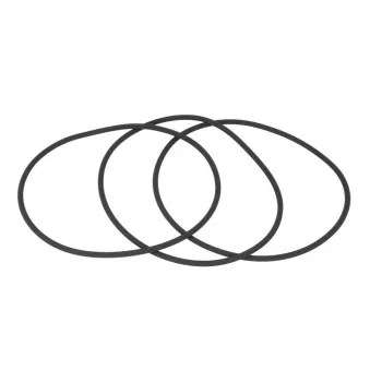 Joint de boîtier de filtre à huile LEMA